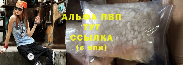 крисы Алзамай