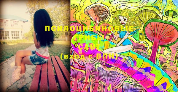 PSILOCYBIN Алексеевка