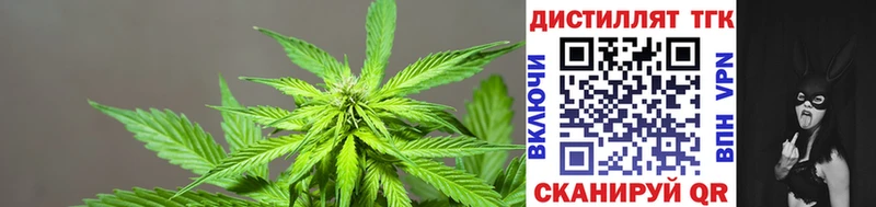 Дистиллят ТГК вейп  Купить где  Хвалынск 