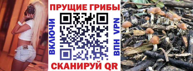 Купить где  Хвалынск  Псилоцибиновые грибы прущие грибы 